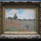Monet's Poppies